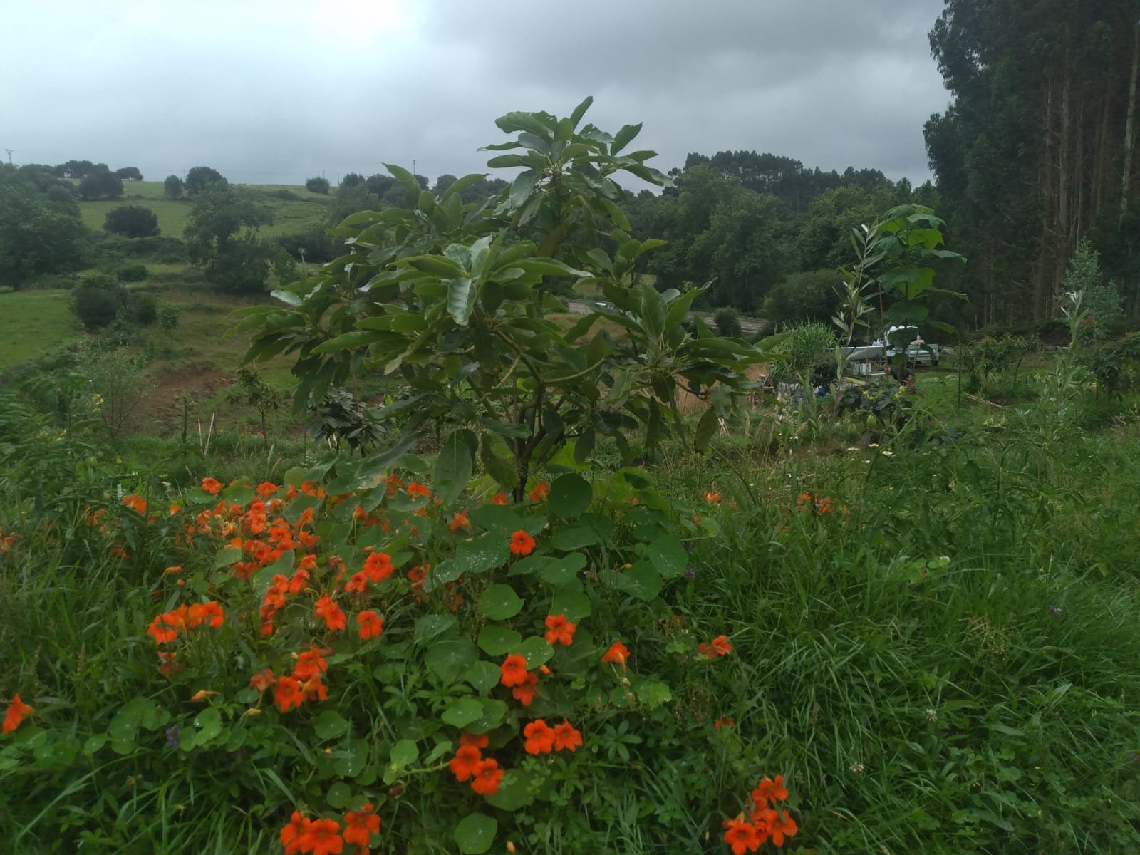 Imagen de WhatsApp 2025-07-06 a las 10.57.02_de403f48